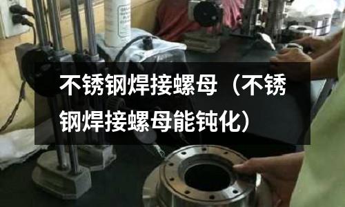 不銹鋼焊接螺母（不銹鋼焊接螺母能鈍化）