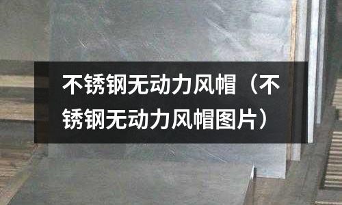 不銹鋼無動力風(fēng)帽（不銹鋼無動力風(fēng)帽圖片）