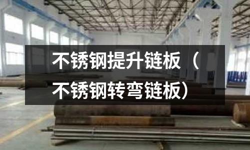 不銹鋼提升鏈板(不銹鋼轉彎鏈板)