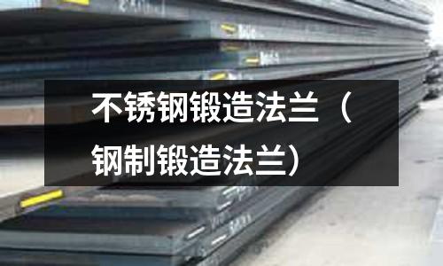 不銹鋼鍛造法蘭（鋼制鍛造法蘭）