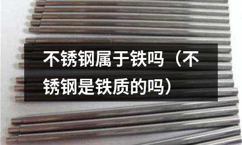 不銹鋼屬于鐵嗎(不銹鋼是鐵質的嗎)