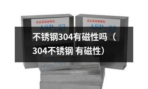 不銹鋼304有磁性嗎(304不銹鋼 有磁性)