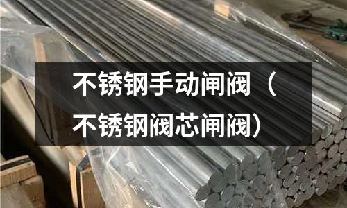 不銹鋼手動閘閥(不銹鋼閥芯閘閥)