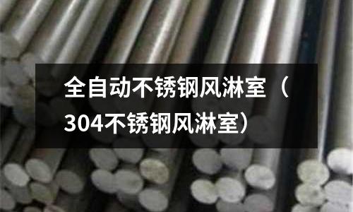 全自動不銹鋼風淋室(304不銹鋼風淋室)