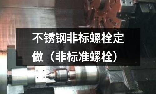 不銹鋼非標(biāo)螺栓定做（非標(biāo)準(zhǔn)螺栓）