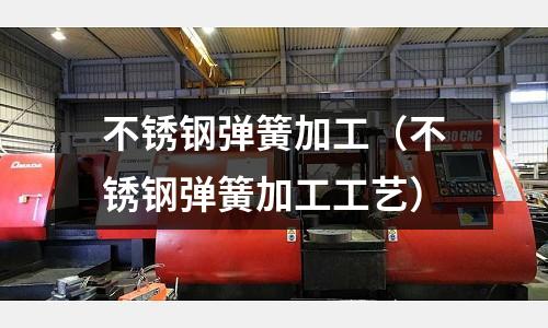 不銹鋼彈簧加工(不銹鋼彈簧加工工藝)