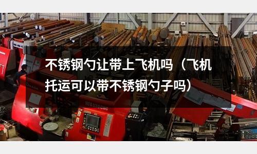 不銹鋼勺讓帶上飛機嗎(飛機托運可以帶不銹鋼勺子嗎)