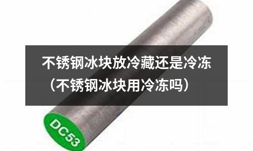 不銹鋼冰塊放冷藏還是冷凍（不銹鋼冰塊用冷凍嗎）