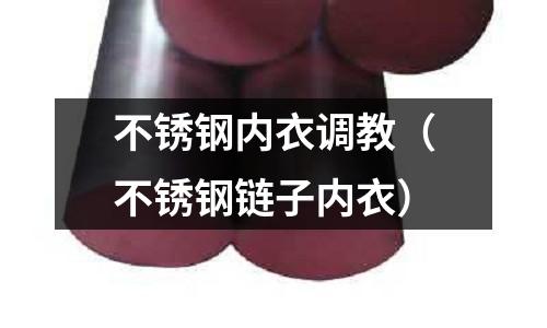 不銹鋼內衣調教（不銹鋼鏈子內衣）