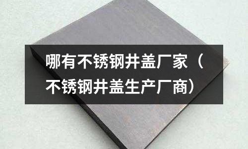 哪有不銹鋼井蓋廠家(不銹鋼井蓋生產廠商)