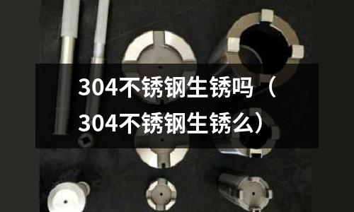 304不銹鋼生銹嗎(304不銹鋼生銹么)