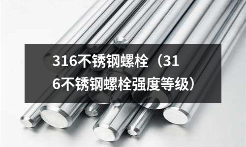316不銹鋼螺栓(316不銹鋼螺栓強度等級)