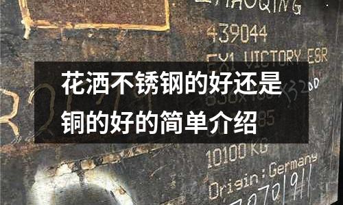 花灑不銹鋼的好還是銅的好的簡單介紹