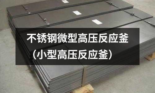 不銹鋼微型高壓反應釜(小型高壓反應釜)