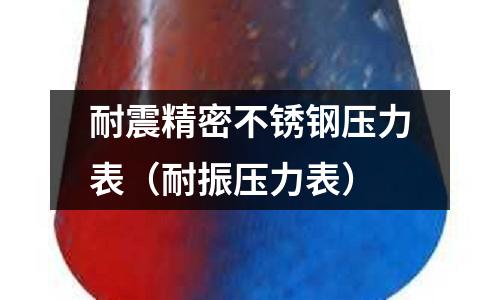 耐震精密不銹鋼壓力表(耐振壓力表)