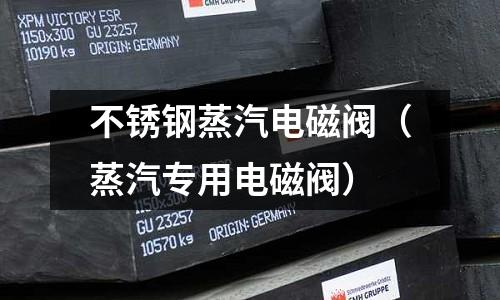 不銹鋼蒸汽電磁閥(蒸汽專用電磁閥)