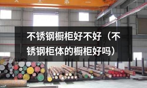 不銹鋼櫥柜好不好(不銹鋼柜體的櫥柜好嗎)