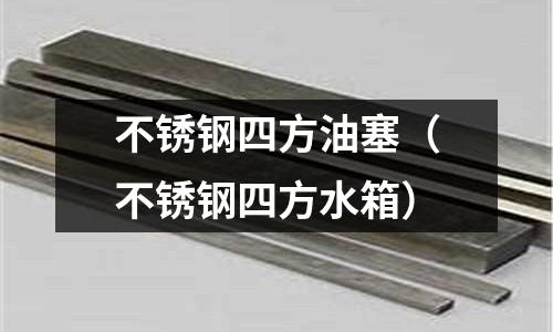 不銹鋼四方油塞（不銹鋼四方水箱）