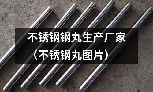 不銹鋼鋼丸生產廠家（不銹鋼丸圖片）