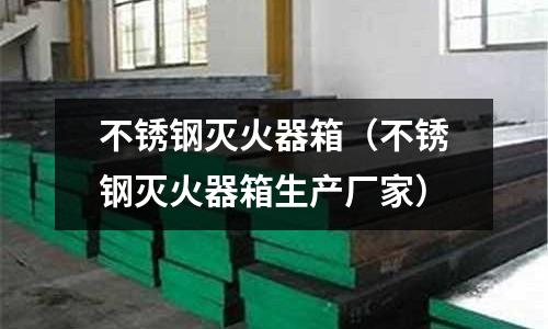 不銹鋼滅火器箱（不銹鋼滅火器箱生產廠家）