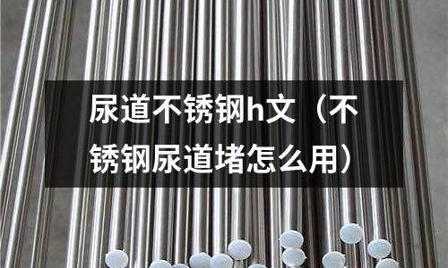 尿道不銹鋼h文(不銹鋼尿道堵怎么用)