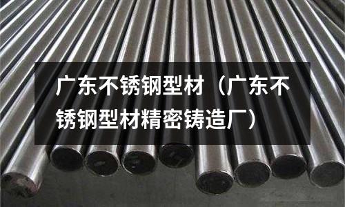 廣東不銹鋼型材(廣東不銹鋼型材精密鑄造廠)