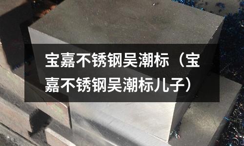 寶嘉不銹鋼吳潮標(biāo)(寶嘉不銹鋼吳潮標(biāo)兒子)