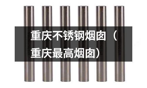 重慶不銹鋼煙囪（重慶最高煙囪）