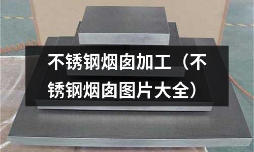 不銹鋼煙囪加工(不銹鋼煙囪圖片大全)
