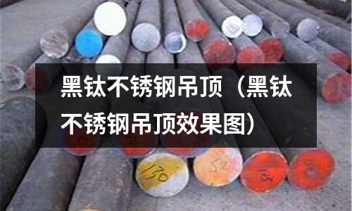 黑鈦不銹鋼吊頂（黑鈦不銹鋼吊頂效果圖）