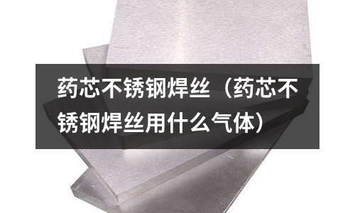 藥芯不銹鋼焊絲（藥芯不銹鋼焊絲用什么氣體）