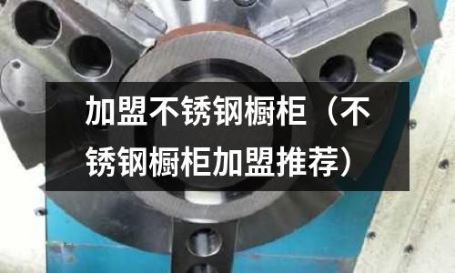 加盟不銹鋼櫥柜(不銹鋼櫥柜加盟推薦)