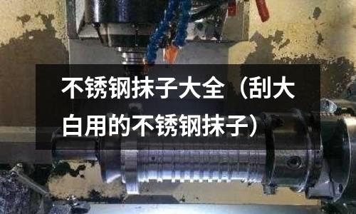 不銹鋼抹子大全（刮大白用的不銹鋼抹子）