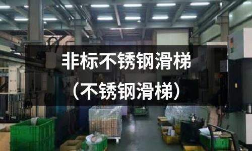 非標不銹鋼滑梯（不銹鋼滑梯）