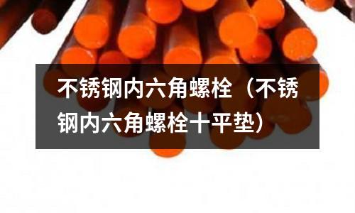 不銹鋼內六角螺栓（不銹鋼內六角螺栓十平墊）