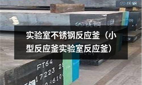 實驗室不銹鋼反應釜（小型反應釜實驗室反應釜）