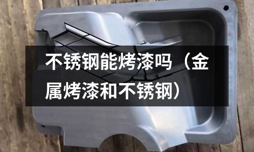 不銹鋼能烤漆嗎（金屬烤漆和不銹鋼）