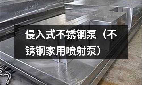 侵入式不銹鋼泵（不銹鋼家用噴射泵）