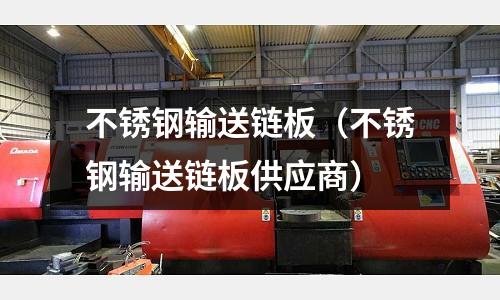 不銹鋼輸送鏈板(不銹鋼輸送鏈板供應商)