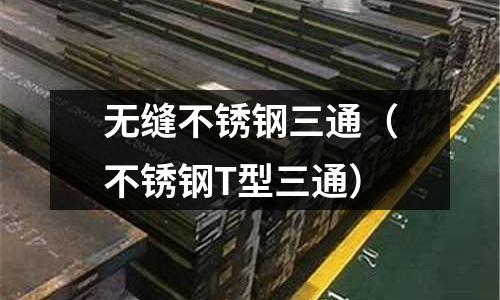 無縫不銹鋼三通(不銹鋼T型三通)