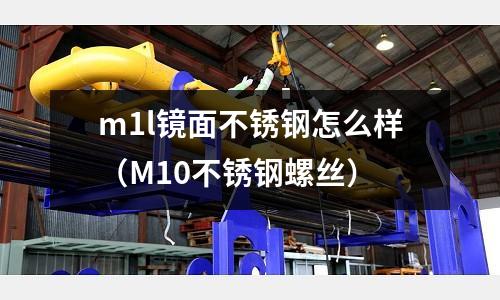 m1l鏡面不銹鋼怎么樣（M10不銹鋼螺絲）