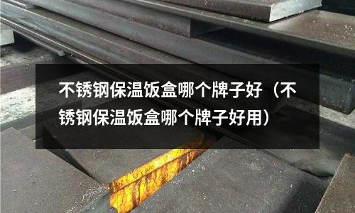 不銹鋼保溫飯盒哪個(gè)牌子好(不銹鋼保溫飯盒哪個(gè)牌子好用)