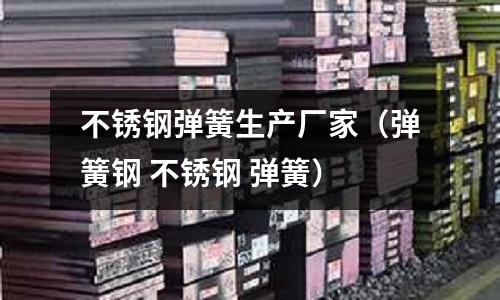 不銹鋼彈簧生產廠家(彈簧鋼 不銹鋼 彈簧)