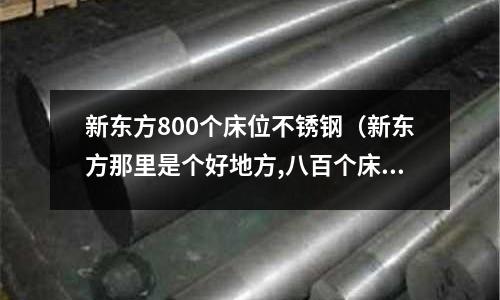 新東方800個床位不銹鋼（新東方那里是個好地方,八百個床位不銹鋼）