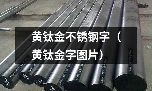 黃鈦金不銹鋼字(黃鈦金字圖片)