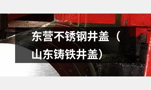 東營不銹鋼井蓋(山東鑄鐵井蓋)