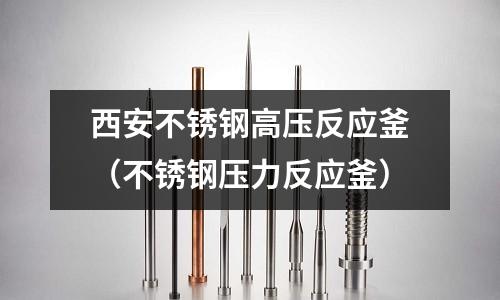 西安不銹鋼高壓反應(yīng)釜(不銹鋼壓力反應(yīng)釜)