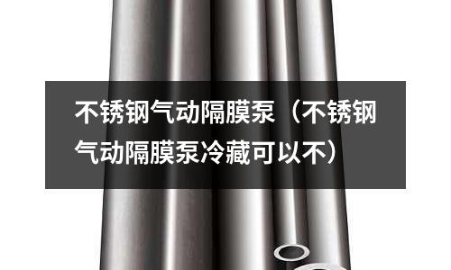 不銹鋼氣動隔膜泵(不銹鋼氣動隔膜泵冷藏可以不)