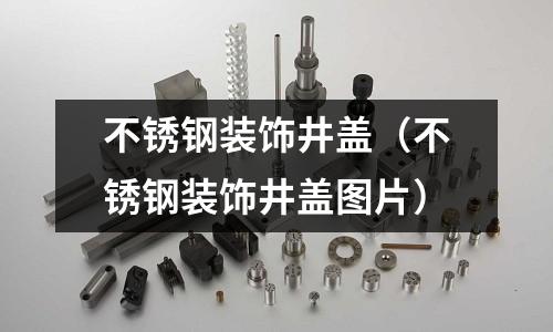 不銹鋼裝飾井蓋(不銹鋼裝飾井蓋圖片)