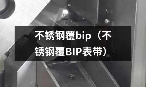 不銹鋼覆bip(不銹鋼覆BIP表帶)